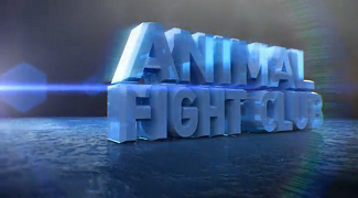 Бойцовский клуб для животных 3 сезон 1 серия / Animal Fight Club (2015)