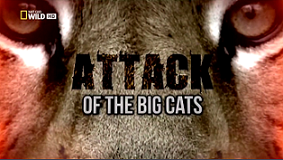 Атака больших кошек / Attack of the Big Cats (2012)