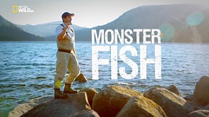 Рыбы-чудовища / Monster Fish / Челюсти джунглей