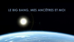 Большой взрыв, начало времён / Le big bang, mes anc?tres et moi (2009)