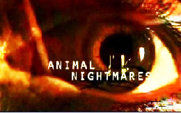 Животный страх Кошки / Animal Nightmares (2003)