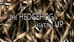 Из жизни ёжика в период глобального потепления / Climate Change: A Talk with the Animals, The Hedgehog (2013)