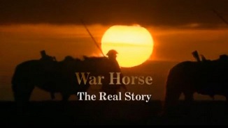Боевой конь: Реальная история / War Horse. The Real Story (2012)