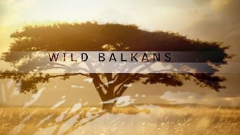 Дикие Балканы / The Wild Balkans (2009)
