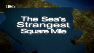 Самое странное место в океане / The Sea's Strangest Square Mile (2011)