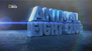 Бойцовский клуб для животных 3 сезон 5 серия / Animal Fight Club (2015)