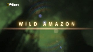 Дикая природа Амазонки 2 серия. Дикое царство / Wild Amazon (2010) National Geographic