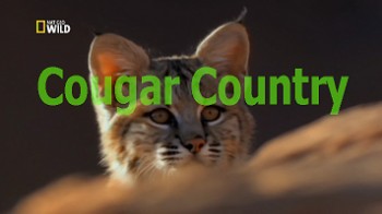 Страна пум / Cougar Country (1999)