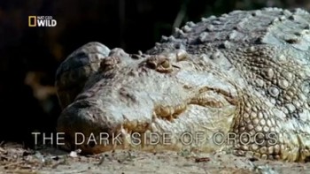 Вся правда о крокодилах / The whole truth about crocodiles (2015)