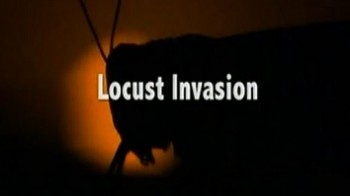 Нашествие саранчи: Насекомые, сожравшие Африку / Locust Invasion: The Insect that Ate Africa (2007) HD