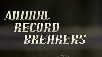 Рекордсмены из мира животных / Animal Record Breakers (2014)