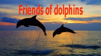 Друг дельфинов / Friends of dolphins (2003)