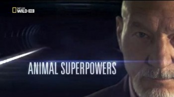Суперспособности животных 3 серия. Экстремальная самозащита / Animal Superpowers (2012)