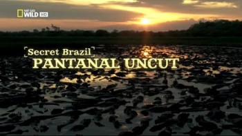 Неизвестная Бразилия 1 серия. Дикий Пантанал / Secret Brazil (2012)