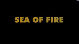 Море в огне. Гибель «Ковентри» / Sea of fire (2008)