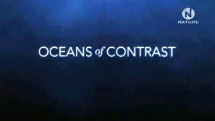 Контрастные океаны / Oceans of Contrast (2011)