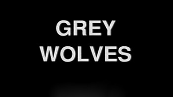 Серые волки 1 серия / Grey Wolves U-Boats (2000)