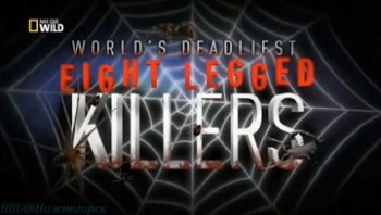 Самые опасные животные (Восьминогие убийцы) / World's deadliest: Eight legged killers (2012)