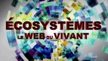 Экосистемы Паутина жизни 1 серия. Слоны хозяева саванны / Ecosystemes le Web du Vivant (2001)