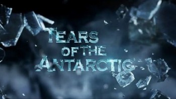 Слёзы Антарктики (Пенги и Сомми) / Tears of the Antarctic (Pengi and Sommi) (2012)