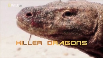 Драконы убийцы / National Geographic Killer Dragons (2008)