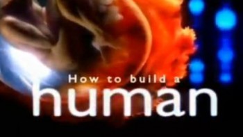 Как сконструировать человека 4 серия. Создание / How to build a human (2004)