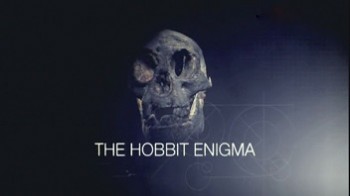 Где жил настоящий хоббит / The Hobbit Enigma (2008)