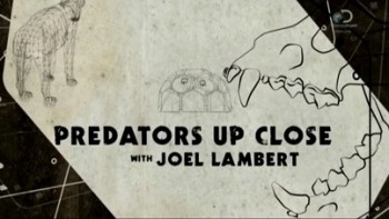 Хищники крупным планом с Джоэлом Ламбертом 2 серия. Гиены / Predators Up Close with Joel Lambert (2015)