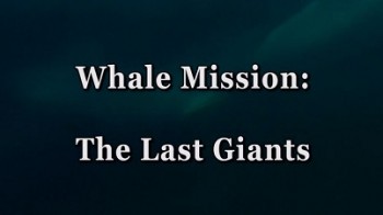 Миссия к китам 1 серия. Последние великаны / Whale Mission (2005)