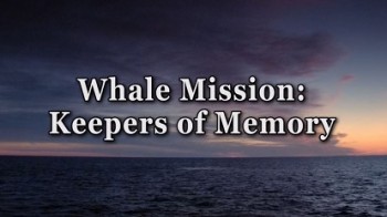 Миссия к китам 2 серия. Хранители памяти / Whale Mission (2005)