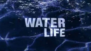 Вода - линия жизни 05. Спокойное течение (2009) HD