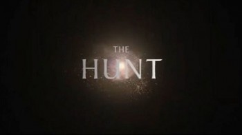 Охота 1 серия. Сложнейшая задача / The Hunt (2015)