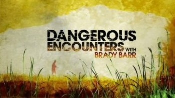 Опасные встречи Электрошок / Dangerous Encounters Electric Eel (2010)