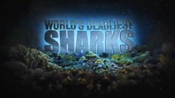 Самые опасные акулы / World's Deadliest Sharks (2011)
