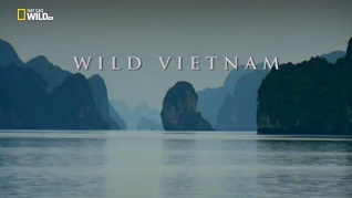 Дикая природа Индокитая Дикий Вьетнам / Wild Vietnam (2015)