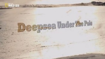 В глубинах Ледовитого океана / Deepsea Under The Pole (2010)