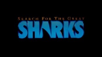 В поисках больших акул / Search for the Great Sharks (1995)
