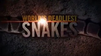 Самые опасные змеи в мире / World's deadliest snakes (2010)
