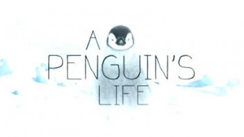 Жизнь пингвинов / National Geographic. A penguins life (2013)