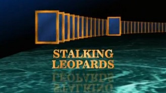 Леопарды: Секреты грациозного хищника / National Geographic: Stalking Leopards (2001)