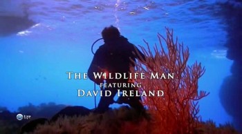 Чудеса дикой природы 02. Кормим акул из рук / The Wildlife man featuring David Ireland (2011)