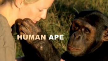 Умнее обезьяны / Human Ape (2008)