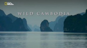 Дикая природа Индокитая Дикая Камбоджа / National Geographic. Wild Cambodia (2015)