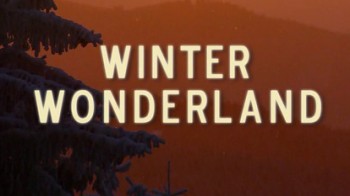 Зимняя страна чудес / NAT GEO WILD. Winter Wonderland (2014)