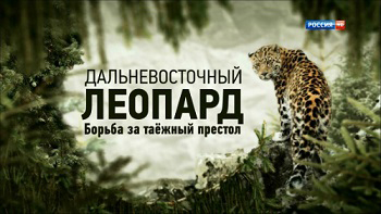 Дальневосточный леопард. Борьба за таёжный престол (2014)