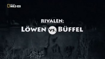 Кровная вражда. Лев против буйвола / NAT GEO WILD. Blood Rivals. Lion vs Buffalo (2014)