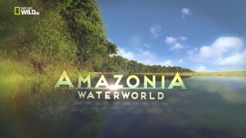 Амазония. Водный мир 1 серия / Amazonia. Waterworld (1999)