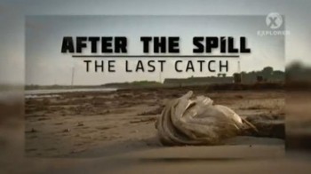 После разлива нефти: Последний улов (2010)