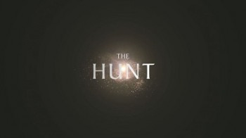 Охота 3 серия. Прятки (Леса) / The Hunt (2015)