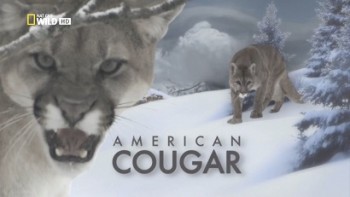 Американская пума / American Cougar (2011)